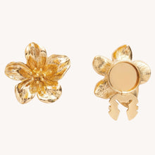 Bijoux de bouton | Halo - 1 paire